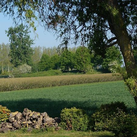 Vakantiewoning Het Olietunnetje Ovezande エクステリア 写真