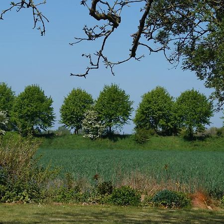 Vakantiewoning Het Olietunnetje Ovezande エクステリア 写真