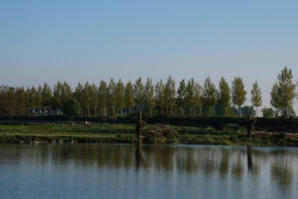 Vakantiewoning Het Olietunnetje Ovezande エクステリア 写真
