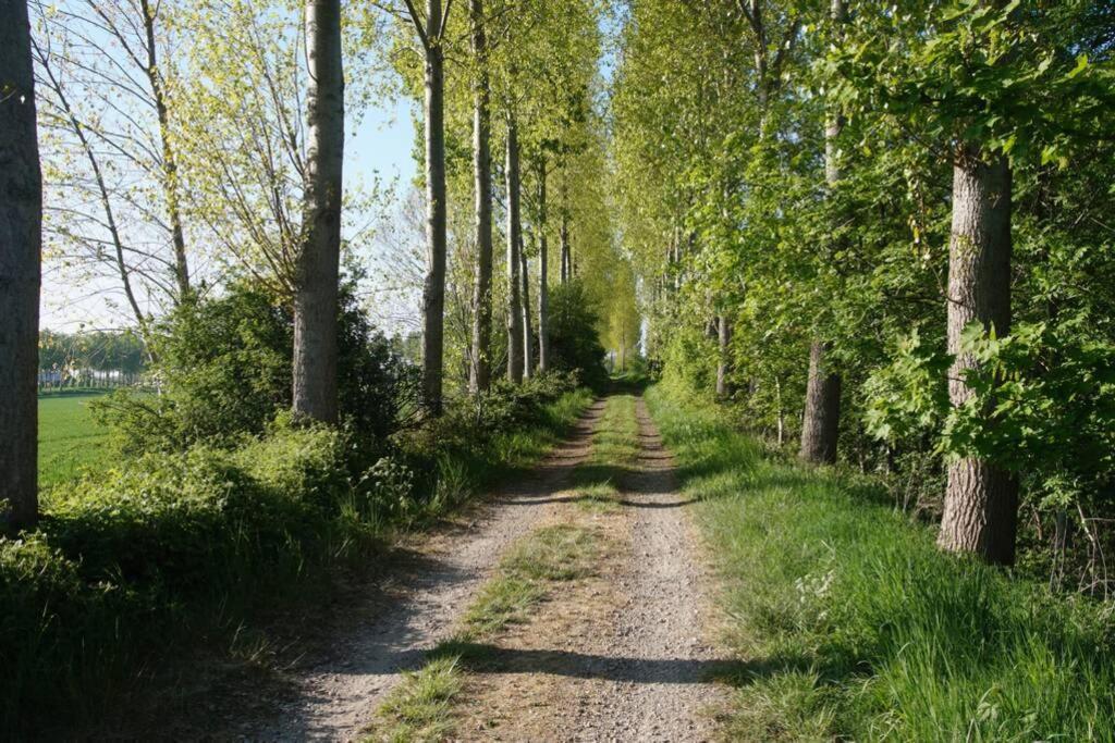 Vakantiewoning Het Olietunnetje Ovezande エクステリア 写真
