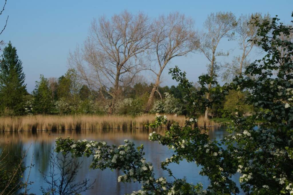 Vakantiewoning Het Olietunnetje Ovezande エクステリア 写真