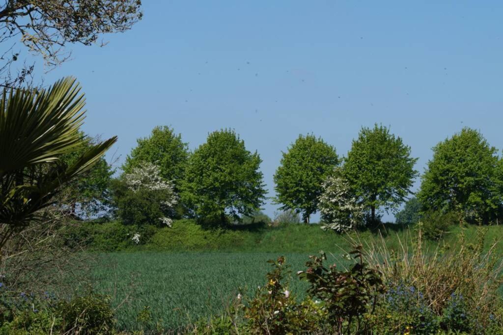 Vakantiewoning Het Olietunnetje Ovezande エクステリア 写真