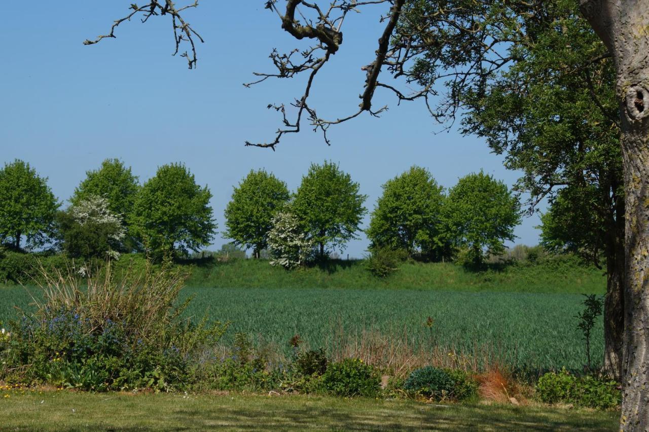 Vakantiewoning Het Olietunnetje Ovezande エクステリア 写真