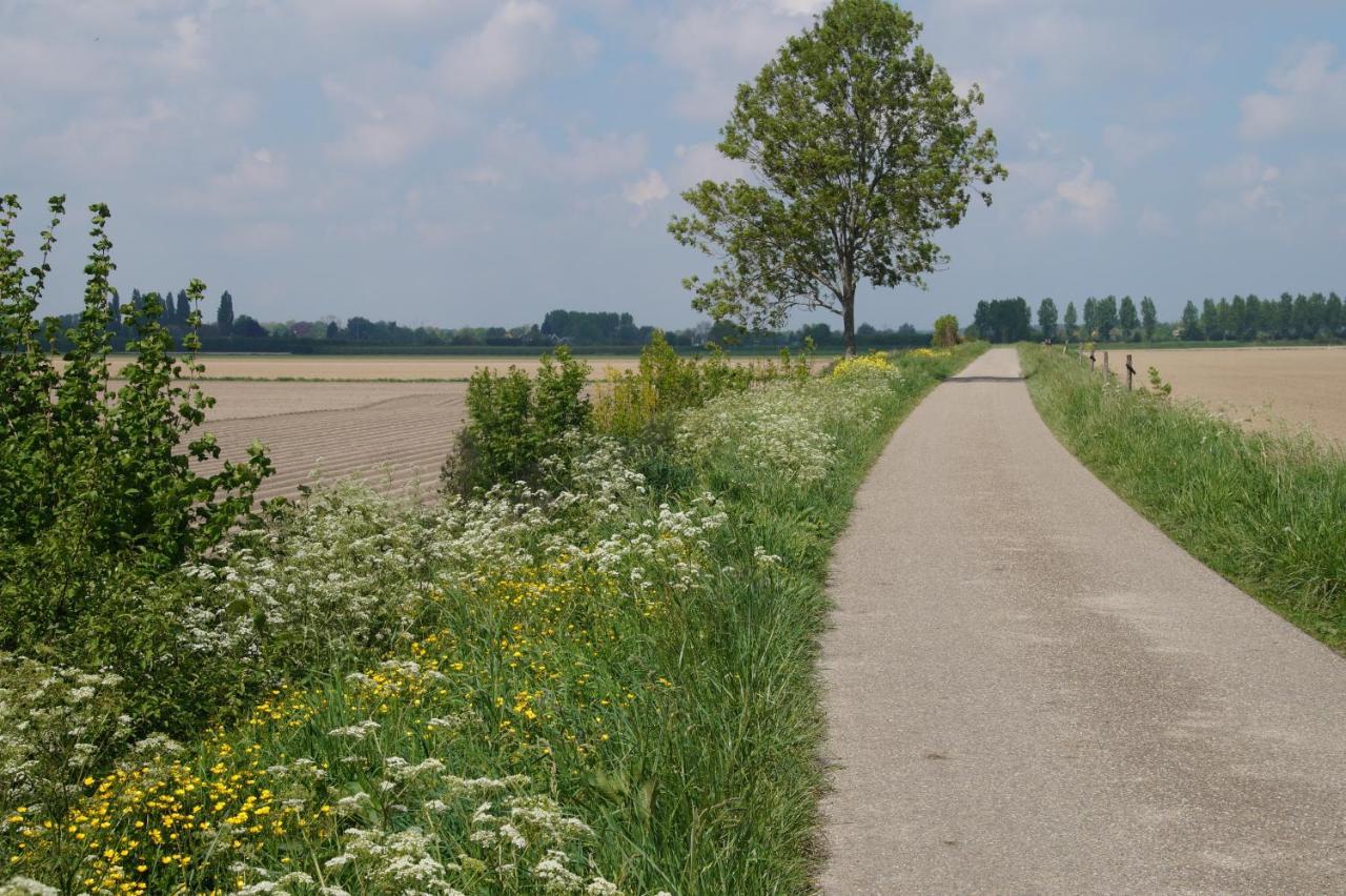 Vakantiewoning Het Olietunnetje Ovezande エクステリア 写真